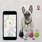 Two-Way Location Tracking Alarm Pet Tracker