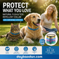 🔥Super discount！Natural Essential Oil Pet Pest Repellent Collar