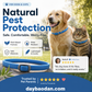 🔥Super discount！Natural Essential Oil Pet Pest Repellent Collar