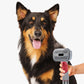 Automatic Pet Hair Grooming Vacuum Cleaner Kit