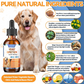 Natural Yeast Infection Treatment for Dogs