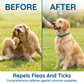 🔥Super discount！Natural Essential Oil Pet Pest Repellent Collar