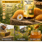 Attract Huge Bee Swarms, Liven Up Your Garden & Gather Sweet Honey！Natural Outdoor Bee Attractant Spray
